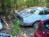 71 Grabber_1649.jpg