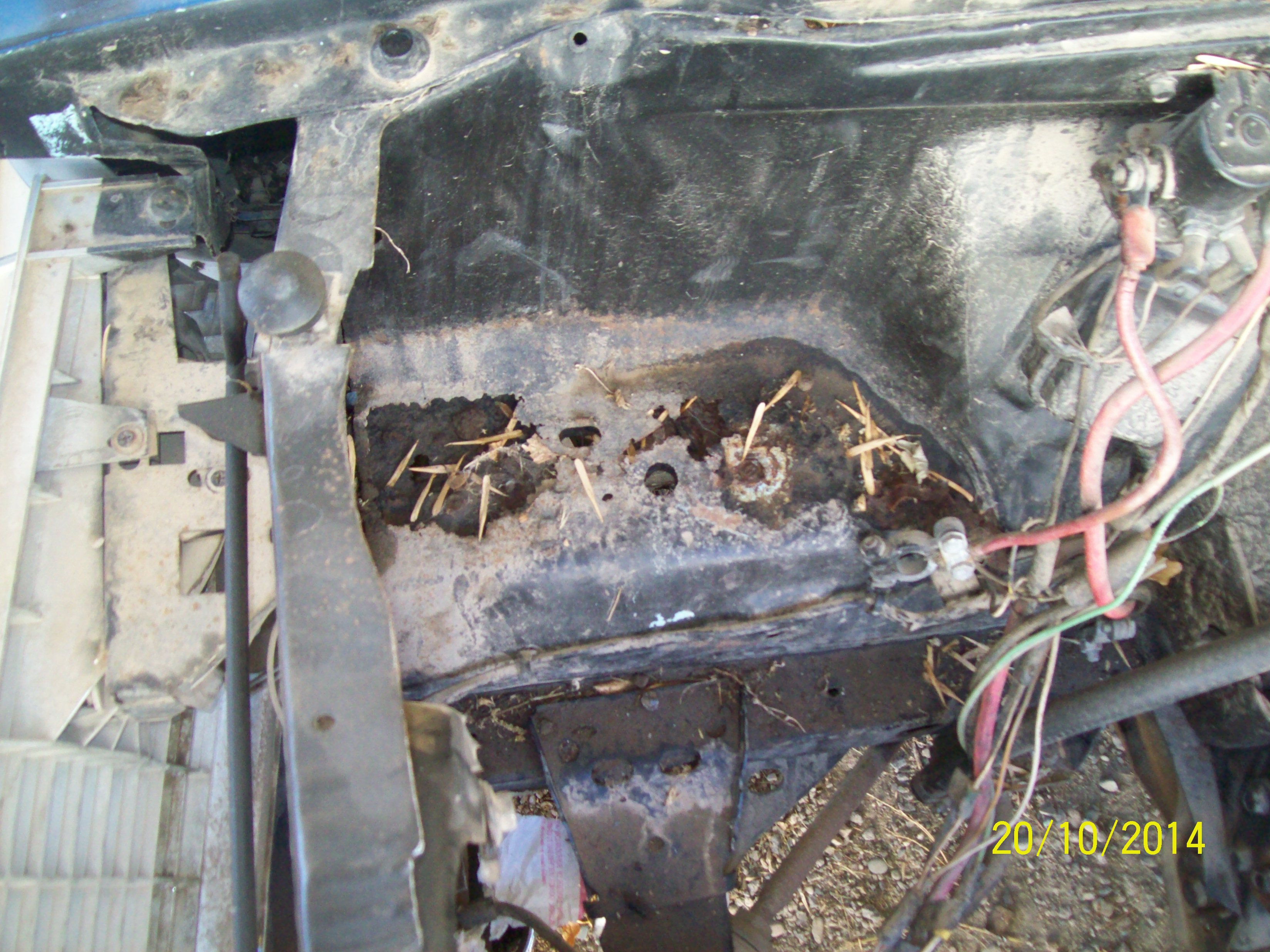 battery tray rot