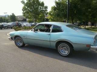 Dvcrobin - Before Paint