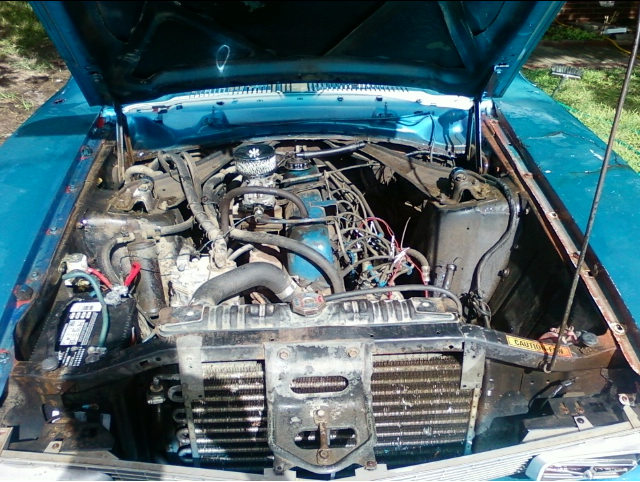 My 73 Mav