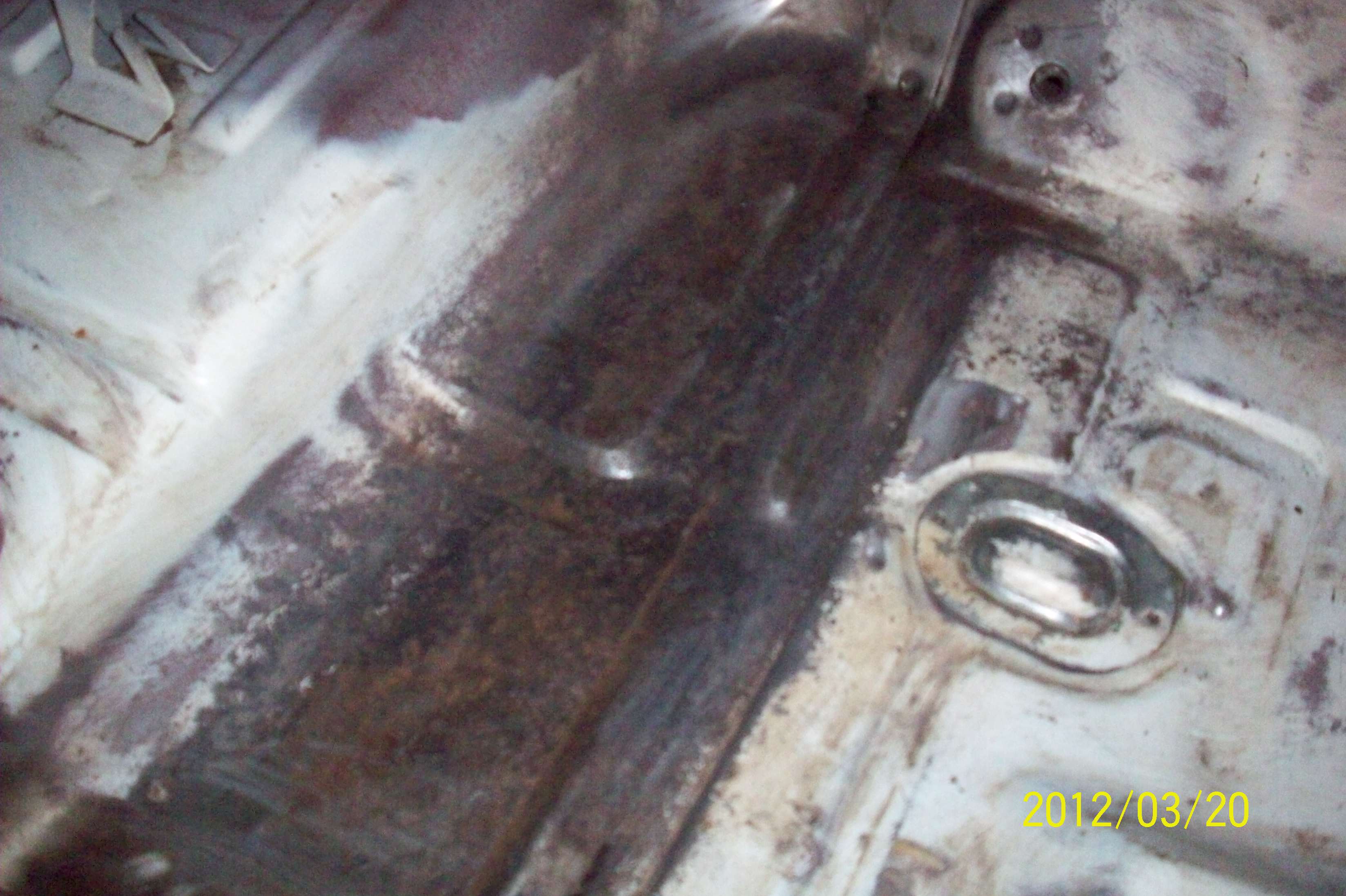 Rear Passenger