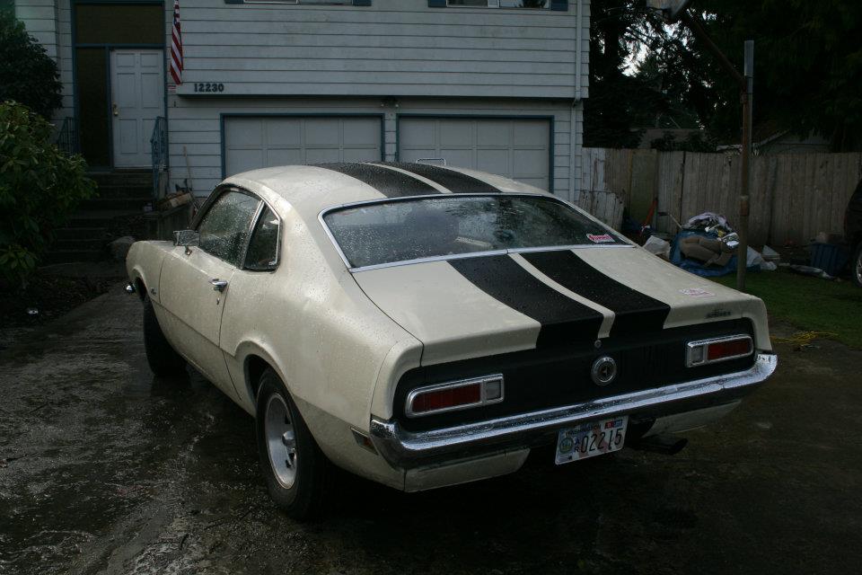 Shelby Stripes