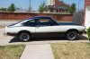White Stallion 002.jpg