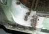 welded door post.jpg