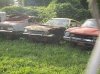 shelby pic 003.jpg
