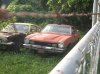 shelby pic 004.jpg