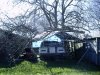 TREE04.jpg