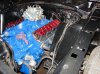 DSC03242.jpg