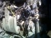 IMG00041-20111215-1532.jpg