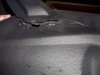 100_1822.jpg