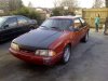 mustang3 032.jpg