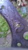 IMAG0085.jpg