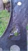 IMAG0087.jpg