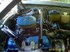 Picture 010.jpg