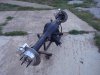 DSC01752.jpg