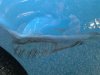 20130729_203531.jpg