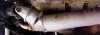 100_2328 - Copy.JPG