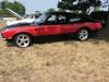 2007Roundup017.jpg