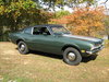 maverickinthe_park_006.jpg