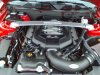 Mustang1.JPG
