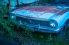 IMG_8218.jpg