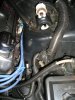 01-03-2011 006.JPG