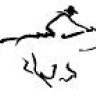 Pony Express
