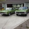 Ford Horses