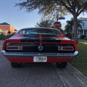 Mav with new bumpers 4.jpg