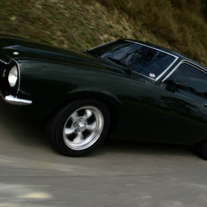 Green Maverick