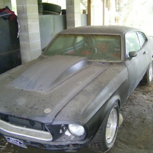 Mavstang!