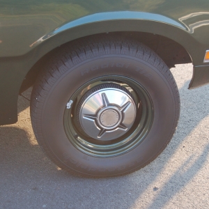 2007 Roundup Nationals