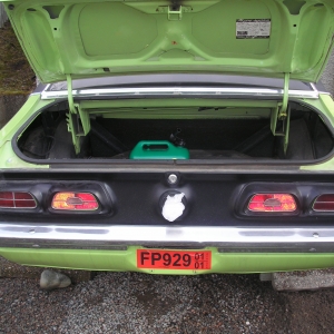 Finally Got The Comet Home!