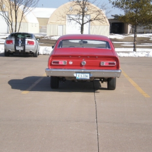 Half Coil Rear