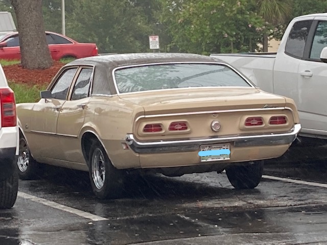 Comet in Seminole FL